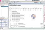 Autodesk Robot 2027 Tutorial. Steel Level I